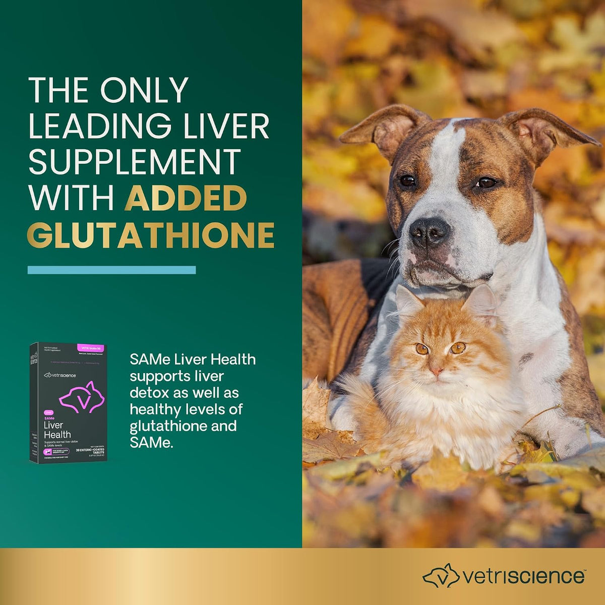 VetriScience SAMe Liver Health Tablets for Cats & Small Dogs, 90 mg – 30 Tablets - görsel 4