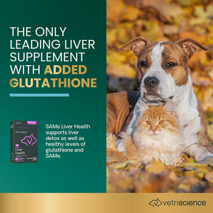 VetriScience SAMe Liver Health Tablets for Cats & Small Dogs, 90 mg – 30 Tablets