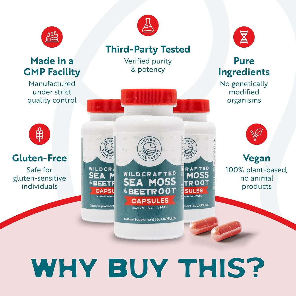 Herbal Vineyards Organic Wildcrafted Sea Moss and Beetroot 60 Capsules | Immune Support, Digestive Health & Energy | Vegan | Non-GMO | Ethically Sourced - görsel 3