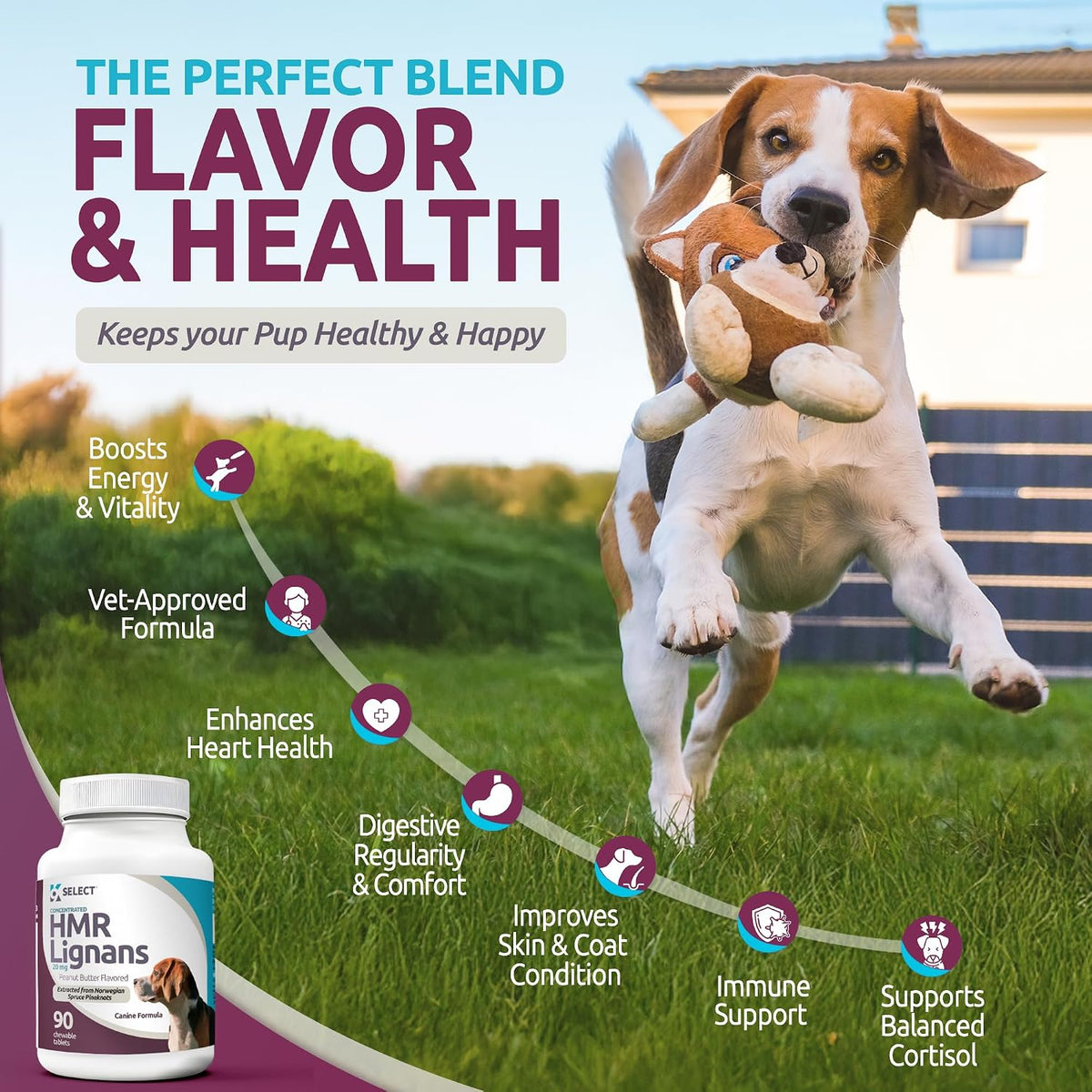 K9 Select HMR Lignans for Dogs – 20mg Norway Spruce Extract, 90 Tablets (Peanut Butter) - görsel 3