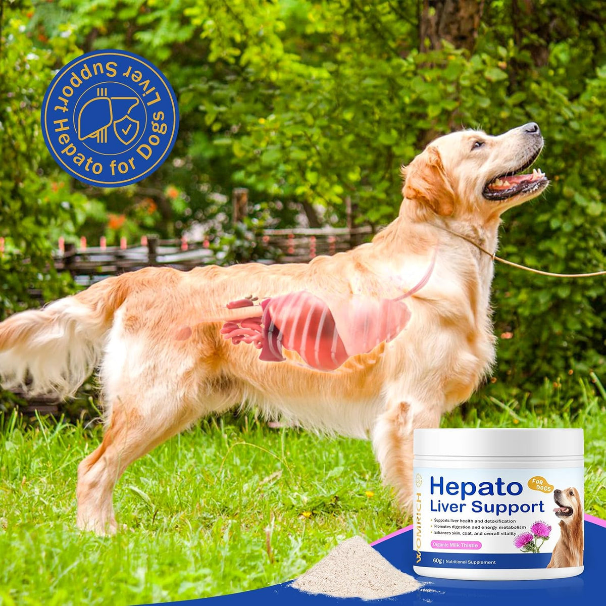 Hepato Liver Support for Dogs - Milk Thistle with Vitamin B Complex - görsel 3