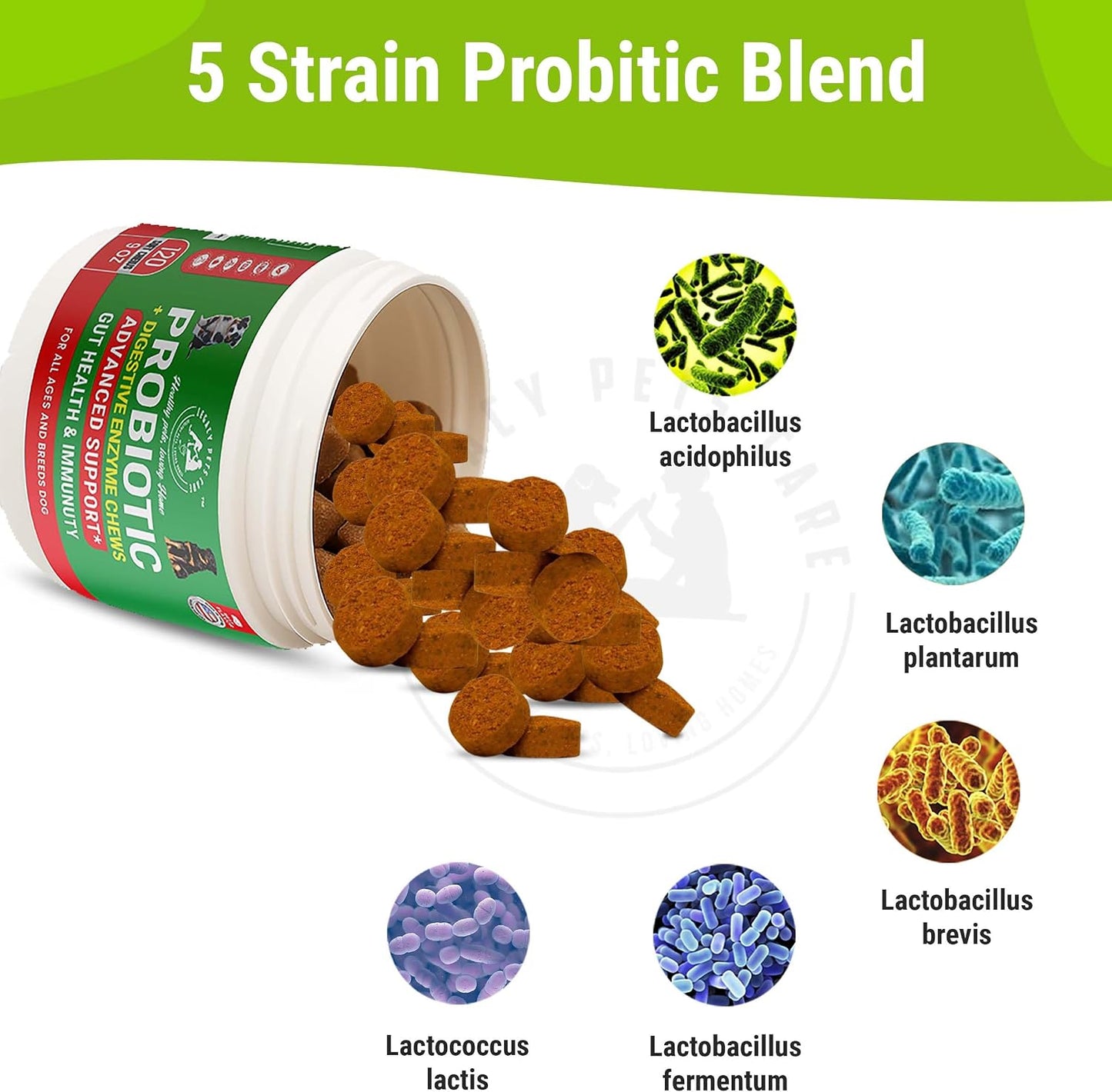 Probiotics for Dogs Soft Chews, 120 Chews – Complete Gut Care for Digestive & Immune Support | Probiotics for Digestive Health | Pet Probiotics 255 g Jar - Probiotic for Dogs - görsel 2