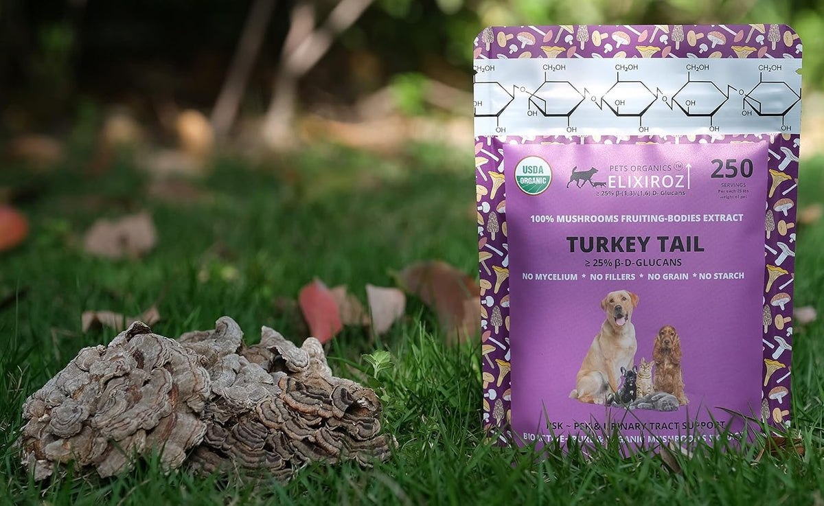 Turkey Tail Mushroom Extract for Dogs & Cats – 25%+ Beta Glucans – Concentrated Fruiting Body Extract (8:1–12:1) – Immune & Gut Support – No Fillers – 250 Servings - görsel 3