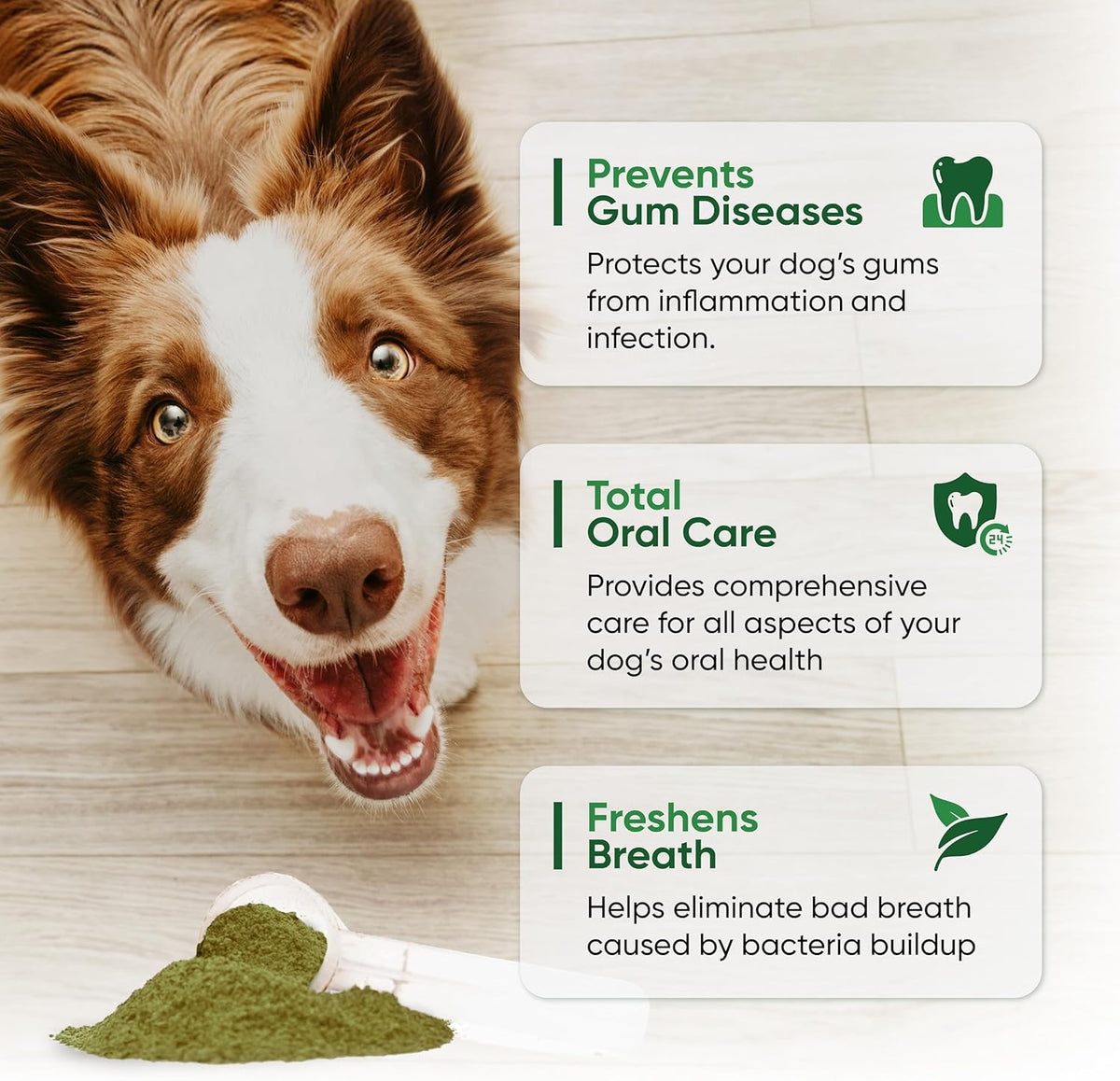 Alpha Dog Teeth Cleaning Powder - Natural Dental Powder for Dogs with Kelp and Probiotics - görsel 3