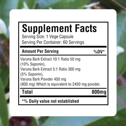 Varuna Nurvala Extract Capsules – Vegan & Gluten-free Bladder & Kidney Support, 800 mg (60 Capsules)