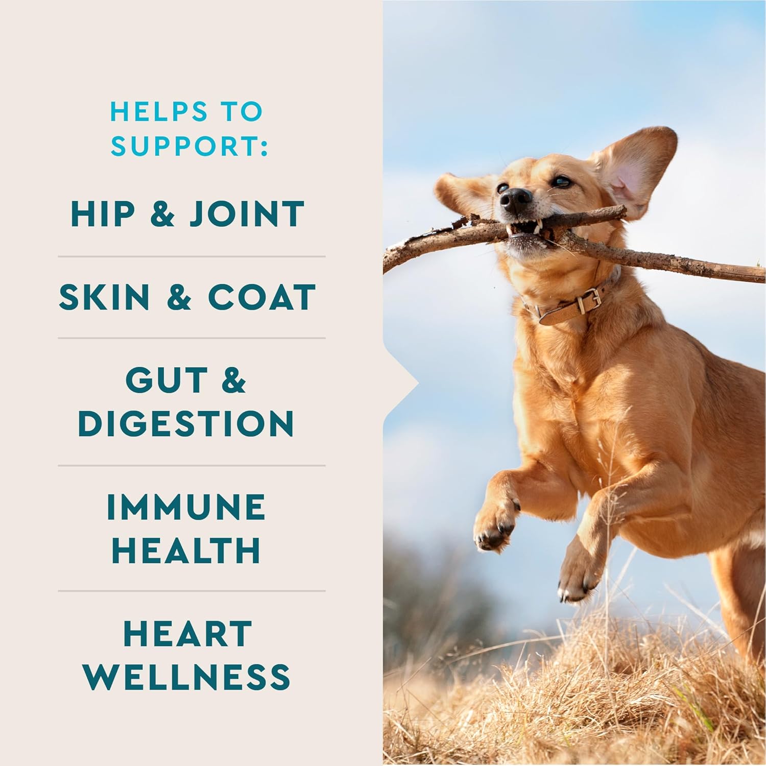 VetIQ 8-in-One Multifunctional Supplement for Dogs – 60 Soft Chews - görsel 2