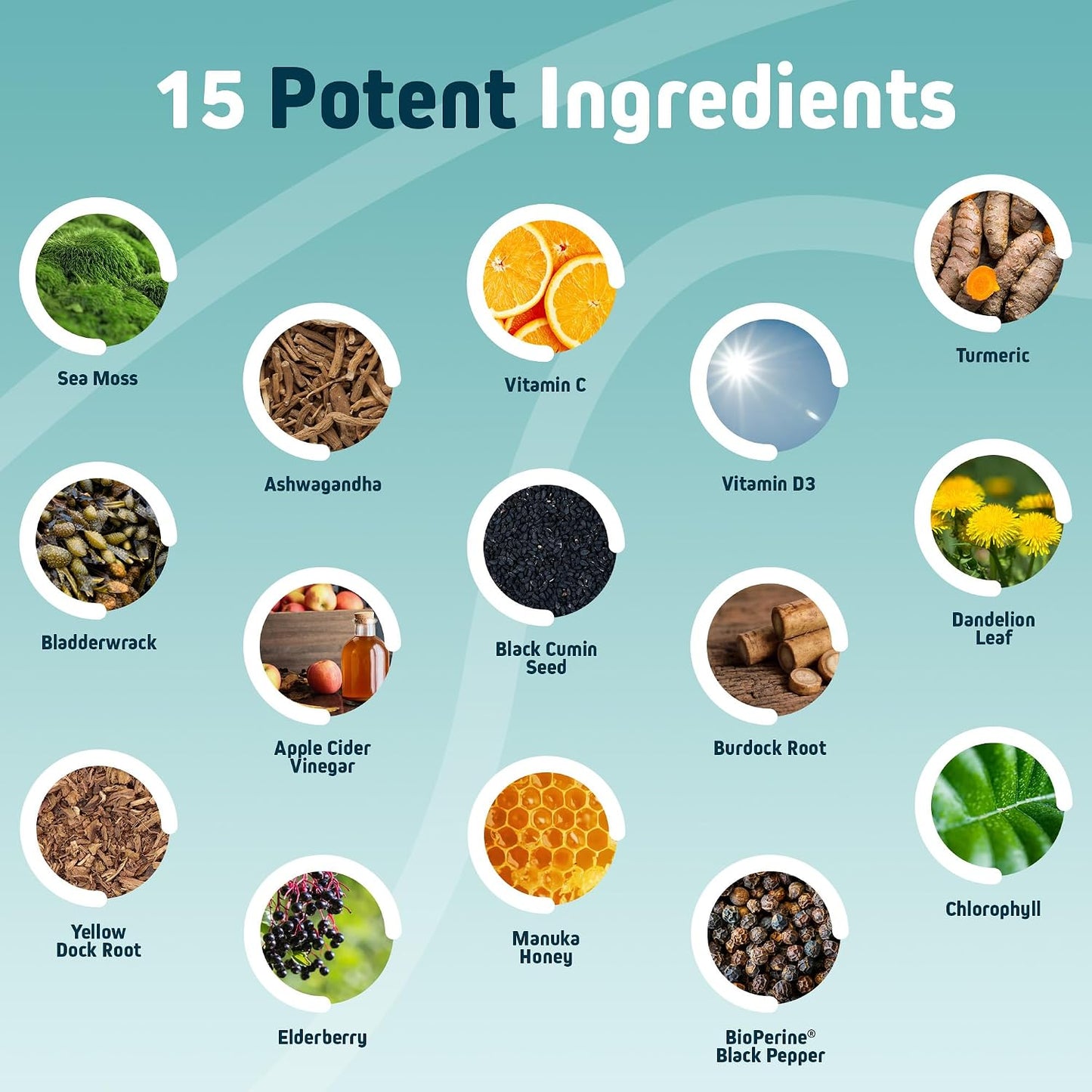 Herbtonics Sea Moss, Black Cumin Seed, Ashwagandha, Burdock Root & Apple Cider Vinegar Complex - 60 Capsules - görsel 4