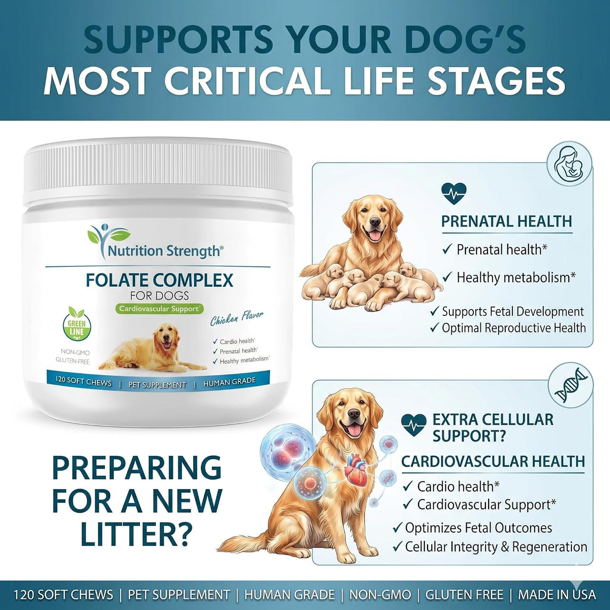 Nutrition Strength Folate for Dogs – Cardiovascular & Prenatal Support, DNA Synthesis, with Zinc, Biotin, Iron & Vitamin B12, 120 Soft Chews - görsel 5