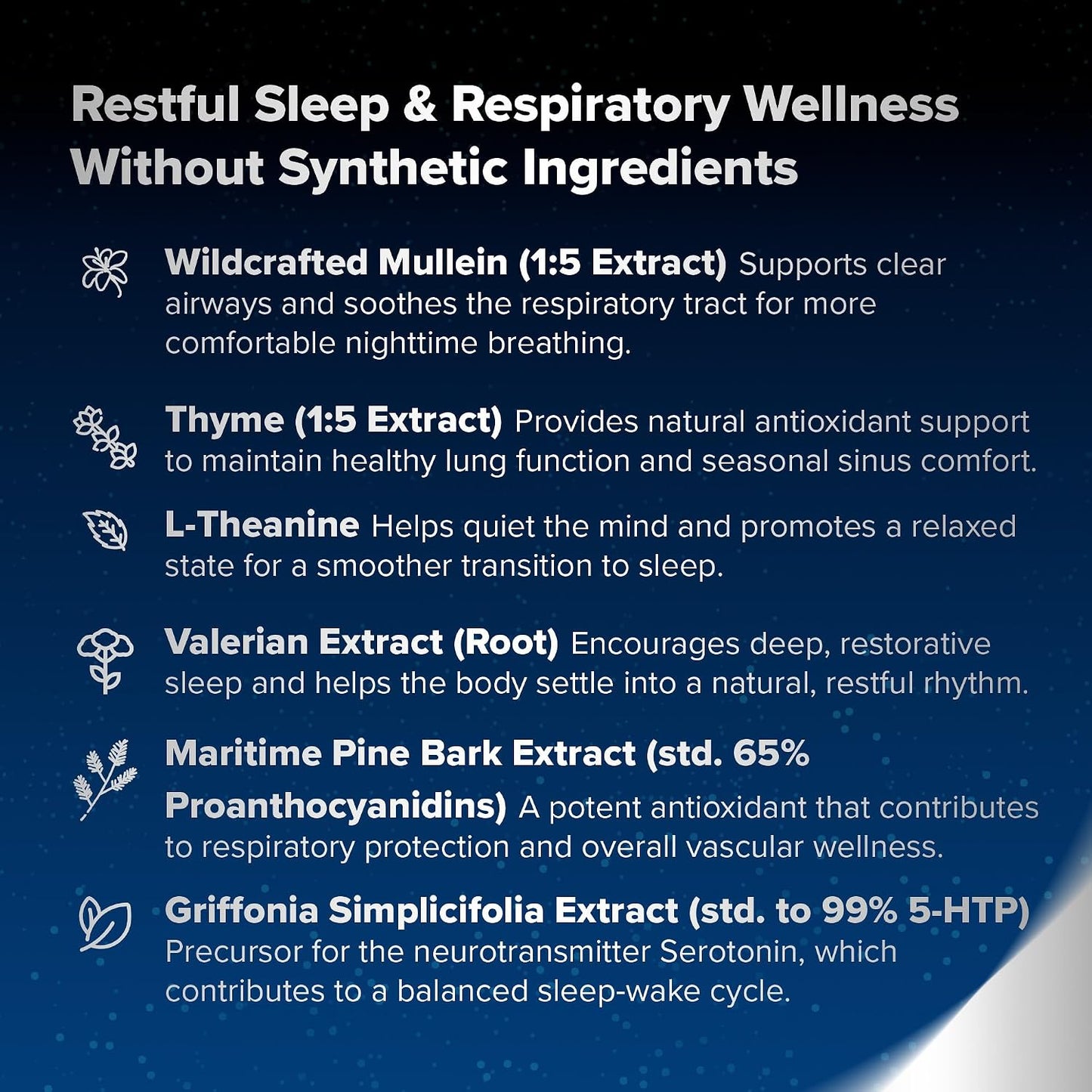 BREATHE PM Nighttime 6-in-1 Mullein Capsules for Lung Support (60 Capsules) - görsel 7