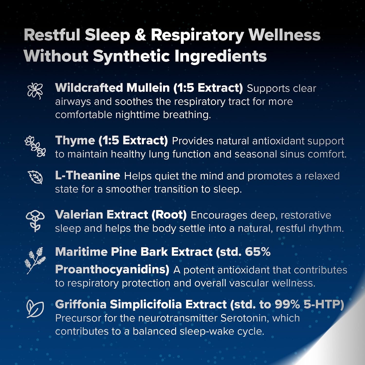 BREATHE PM Nighttime 6-in-1 Mullein Capsules for Lung Support (60 Capsules) - görsel 7