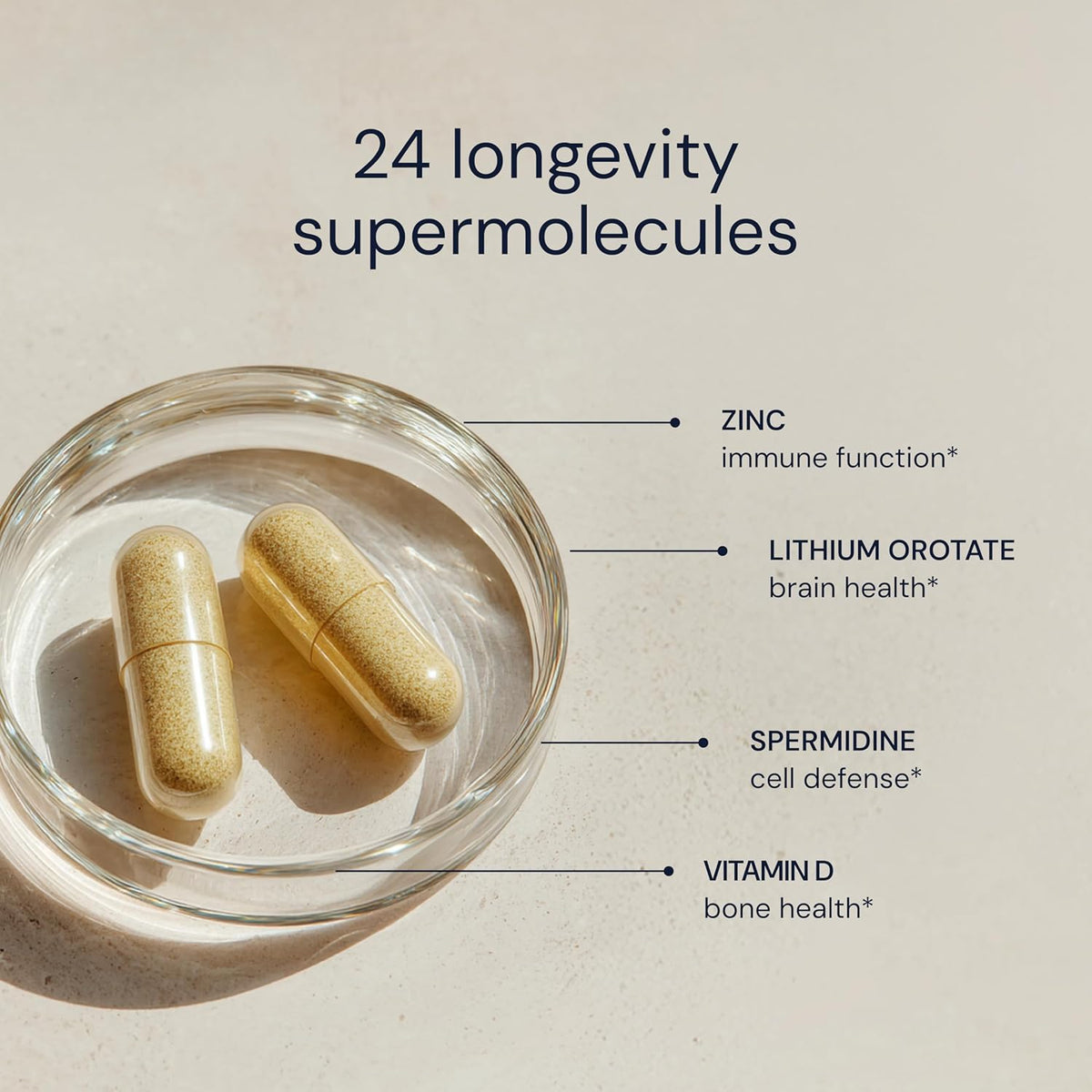 Blueprint Essential Capsules - Daily Multivitamin/Multimineral - görsel 5
