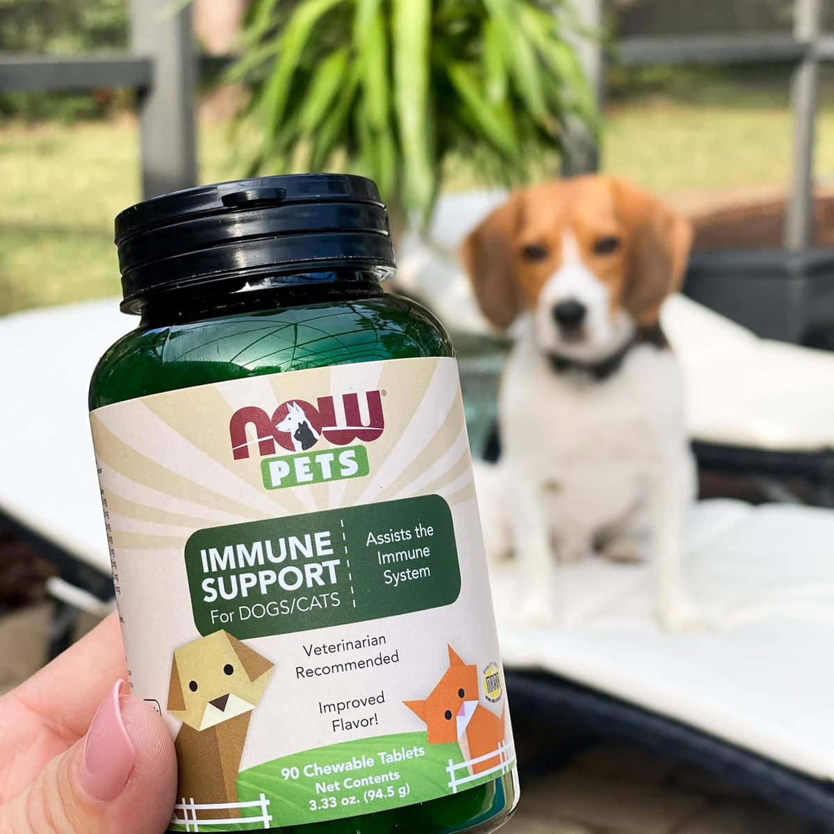 NOW Pet Health Immune Support Supplement for Cats & Dogs – NASC Certified, 90 Chewable Tablets - görsel 4