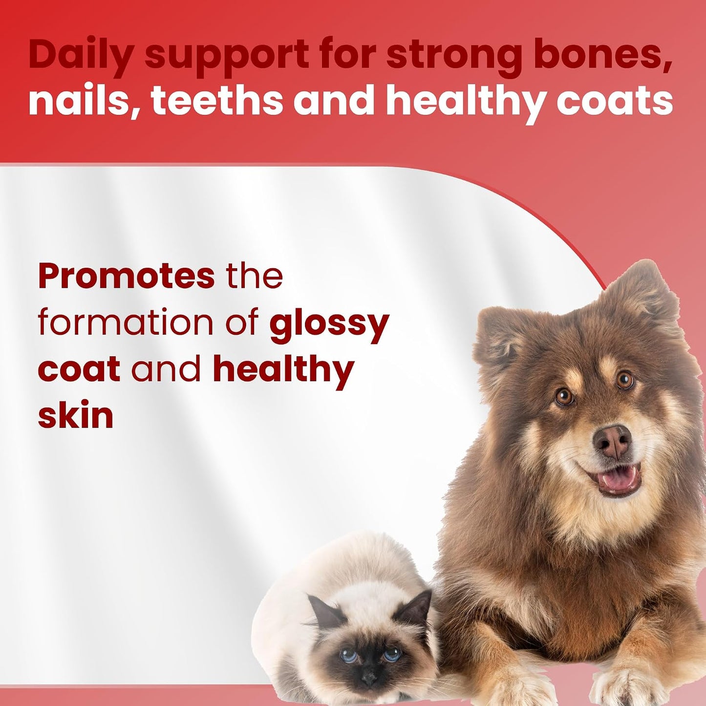 Bio PetActive D-Kaltabs Calcium & Phosphorus Supplement for Dogs & Cats with Vitamin D3 - 84 Chewable Tablets - görsel 3