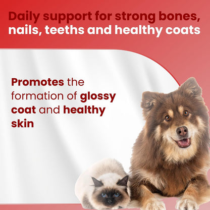 Bio PetActive D-Kaltabs Calcium & Phosphorus Supplement for Dogs & Cats with Vitamin D3 - 84 Chewable Tablets