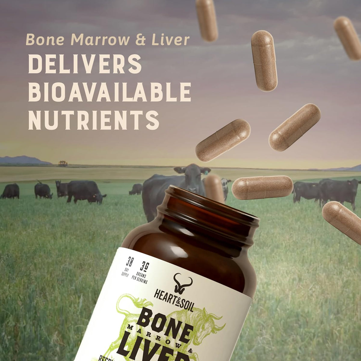 Heart & Soil 100% Grass Fed Bone Marrow & Beef Liver Supplement – 180 Capsules - görsel 8