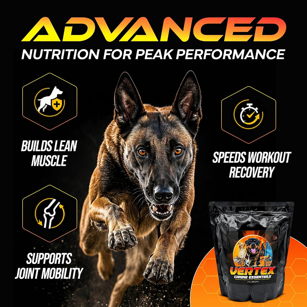 Vertex Canine Essentials High-Performance Dog Supplement – Predigested Liver, Whey & Egg Protein – 2 lb - görsel 4