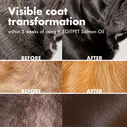 Wild Alaskan Salmon Oil for Dogs & Cats - Pure Fish Omega 3 6 9 Liquid EPA DHA Fatty Acids - Skin & Coat Supplement - 8 fl oz