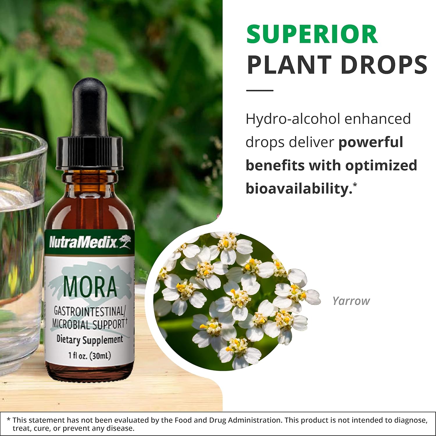 NutraMedix Mora Yarrow Extract – Yarrow Flower, Blackberry Leaves and Capirona Bark Extract for Digestive Health, Gut Support and Healthy Inflammatory Response (1 oz / 30 ml) - görsel 5