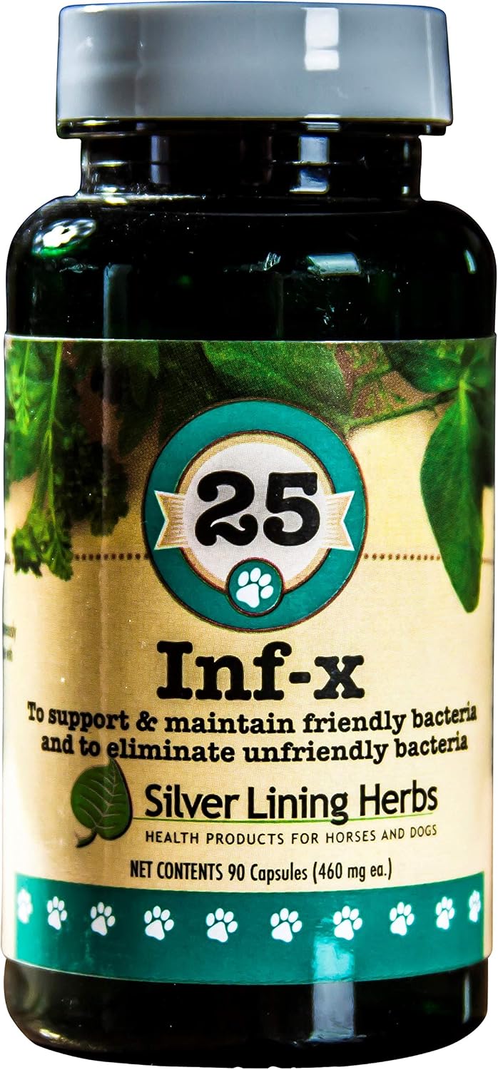 Silver Lining Herbs Canine INF-X – Herbal Digestive Support for Dogs (90 Capsules) - görsel 1