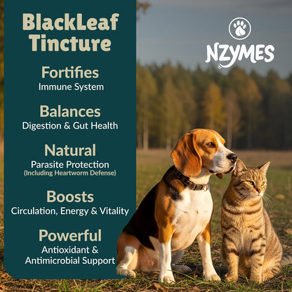 BlackLeaf Tincture for Pets