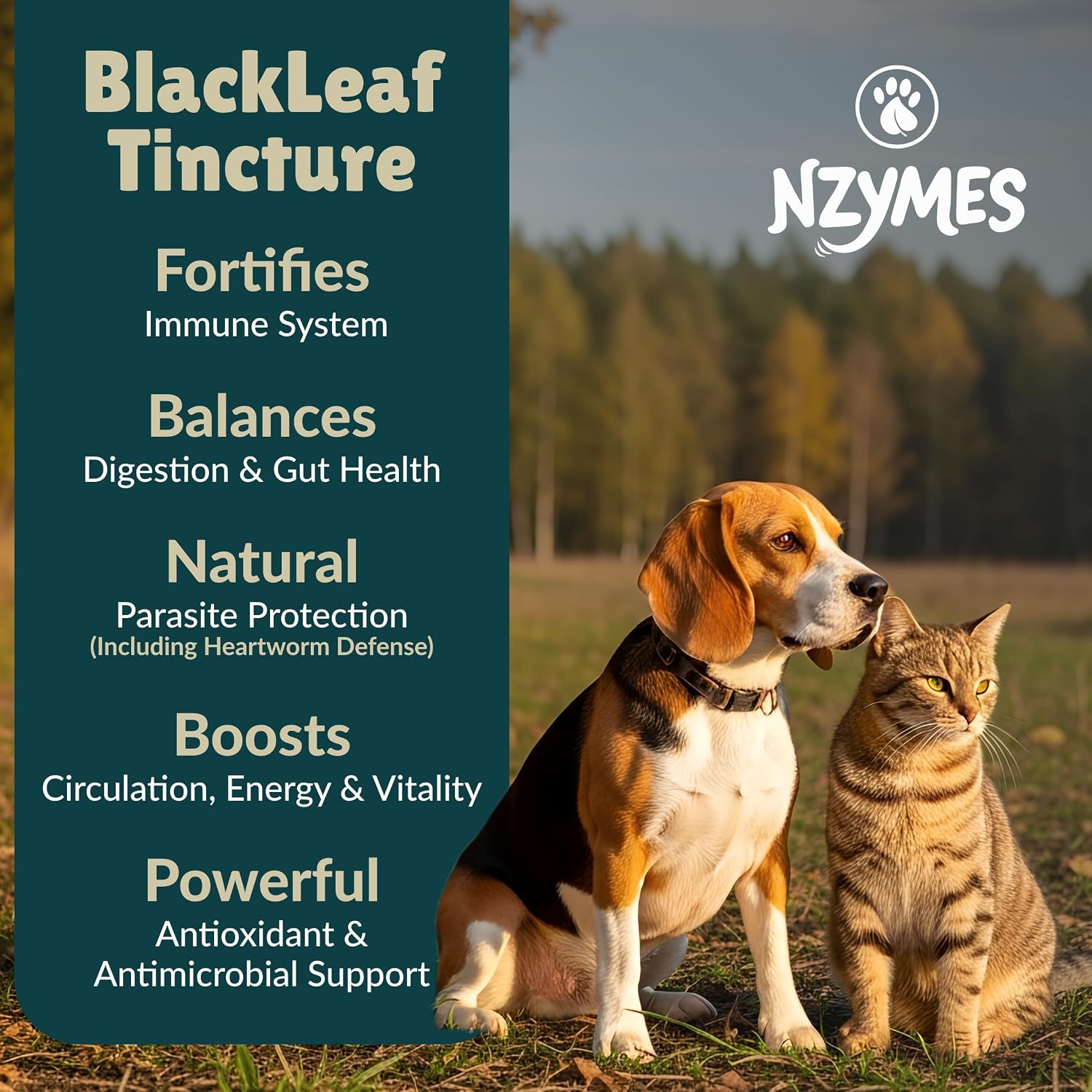 BlackLeaf Tincture for Pets – 2 Pack - görsel 2