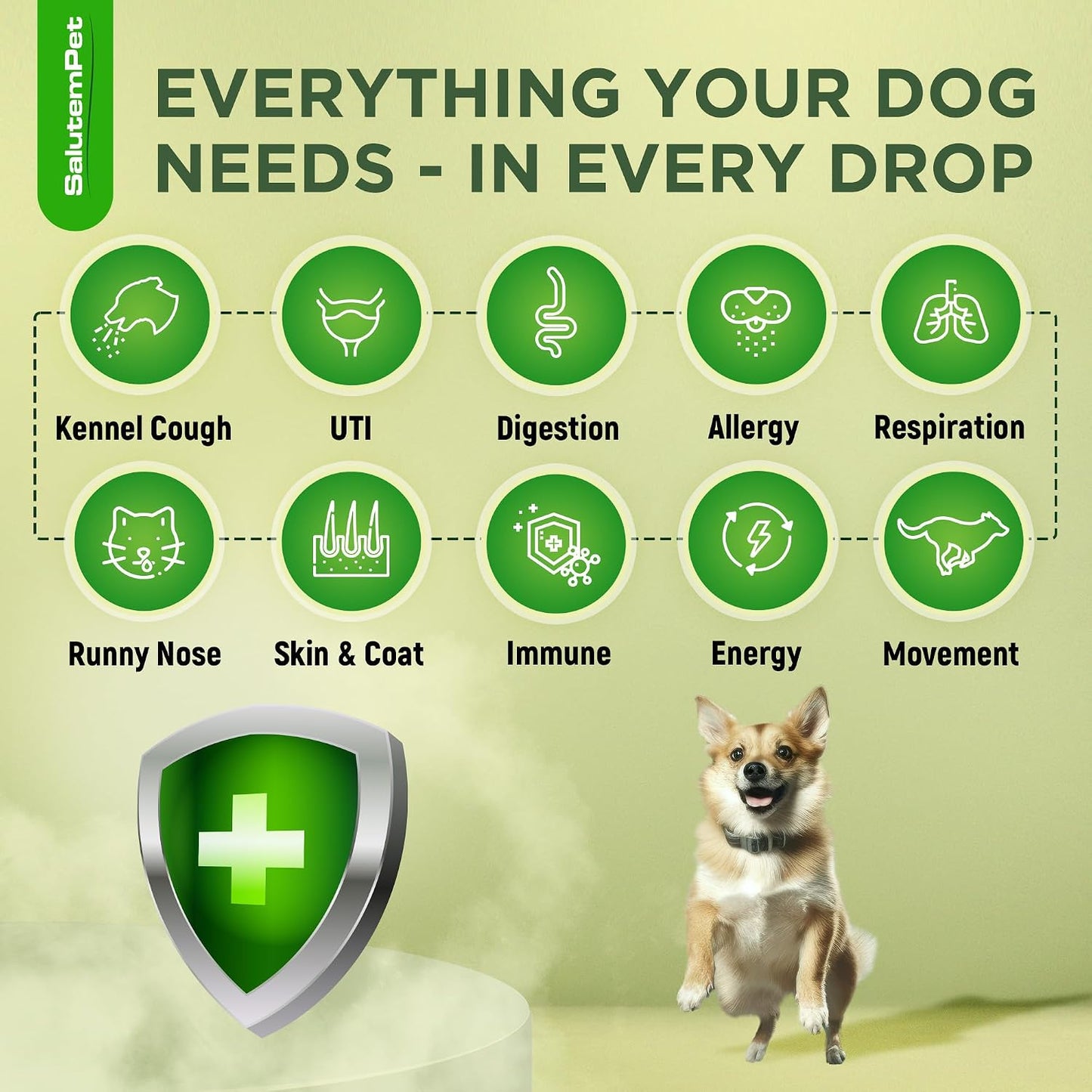 Natural Antibiotics for Dogs and Puppies – Herbal Ingredients – Bacon Flavour – 2 oz Liquid - görsel 2