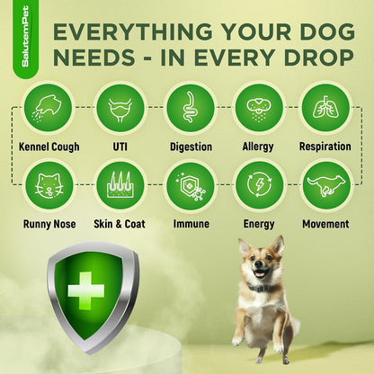 Natural Antibiotics for Dogs and Puppies – Herbal Ingredients – Bacon Flavour – 2 oz Liquid
