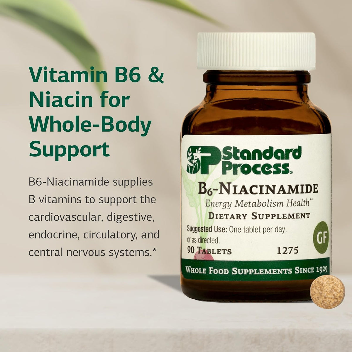 Standard Process B6-Niacinamide – 90 Tablets – Supports Energy Metabolism and Heart Health - görsel 3