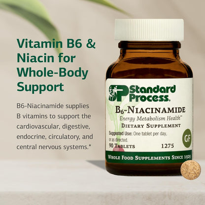 Standard Process B6-Niacinamide – 90 Tablets – Supports Energy Metabolism and Heart Health