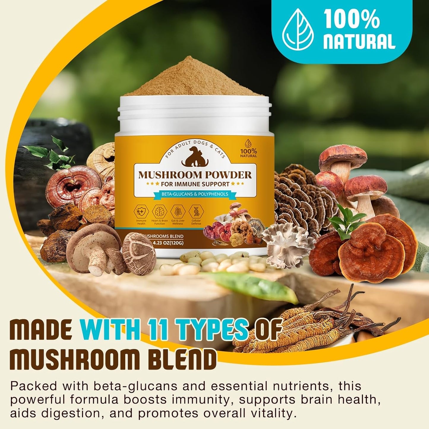 Organic Mushroom Supplement Powder for Dogs & Cats – 11 Mushroom Complex with Turkey Tail, Reishi & Cordyceps, Supports Lipoma, Lumps & Bumps Relief, Immune & Skin Health, 120g - görsel 2