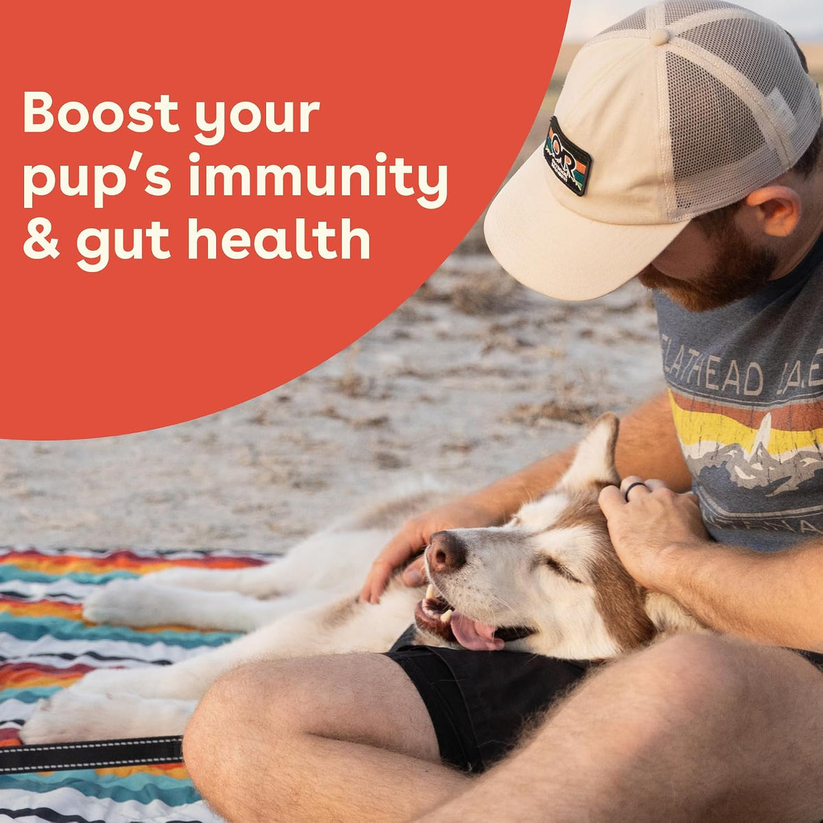 Pupford Gut Health & Immunity Supplement for Puppies and Adult Dogs – Peanut Butter and Jam, 180g (6.3 oz) - görsel 6