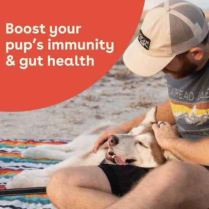 Pupford Gut Health & Immunity Supplement for Puppies and Adult Dogs – Peanut Butter and Jam, 180g (6.3 oz)