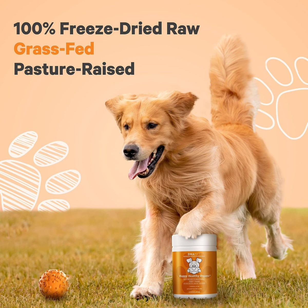 Happy Healthy Organs & Glands Supplement for Dogs - Freeze-Dried Raw Grass-Fed Beef Multi-Organ, 85 g - görsel 4
