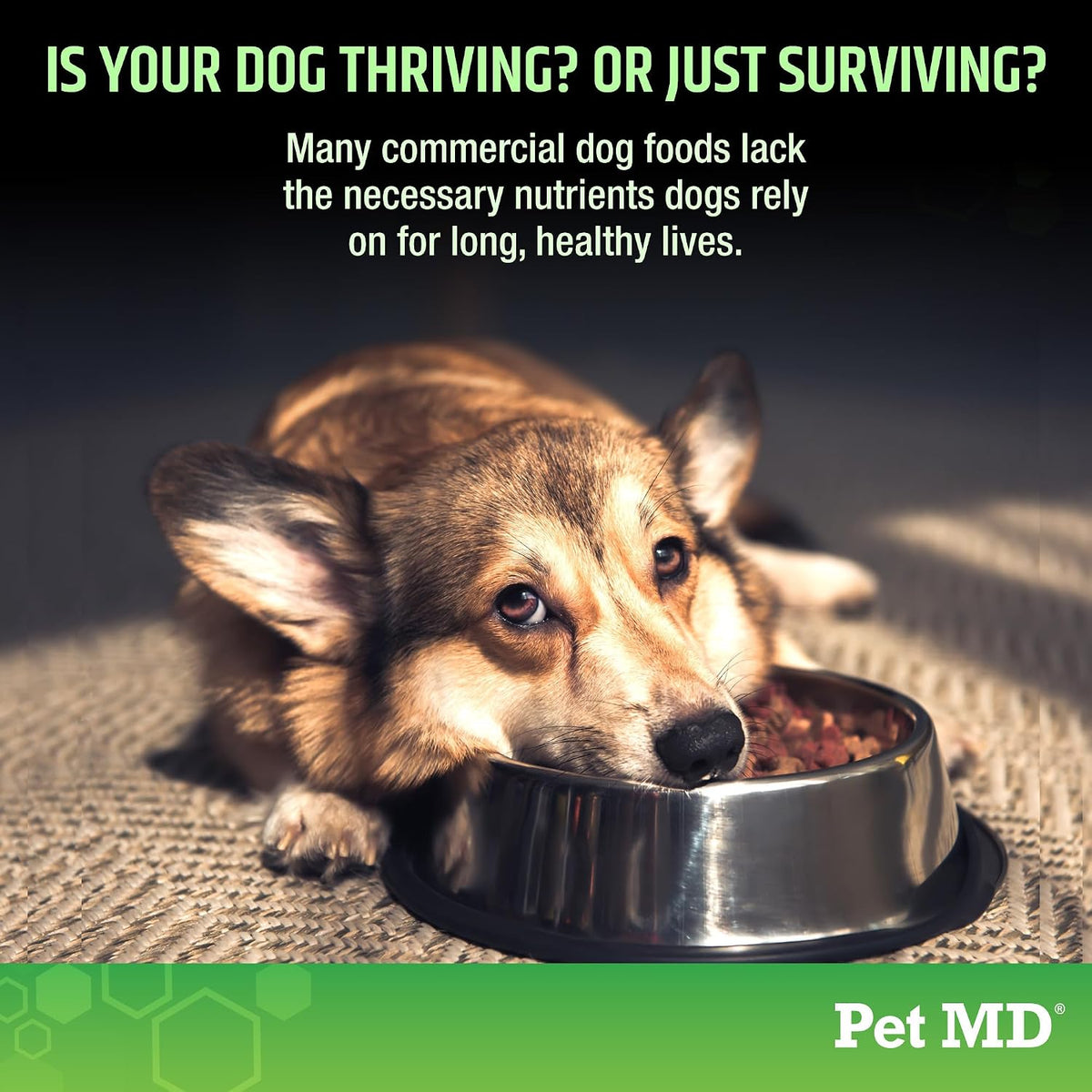 Pet MD 5in1 Dog Multivitamin - 30 Essential Vitamins & Nutrients for Skin & Coat, Hip & Joint, Digestion - Glucosamine, Omega-3-6-9, Probiotics (60 Soft Chews) - görsel 2