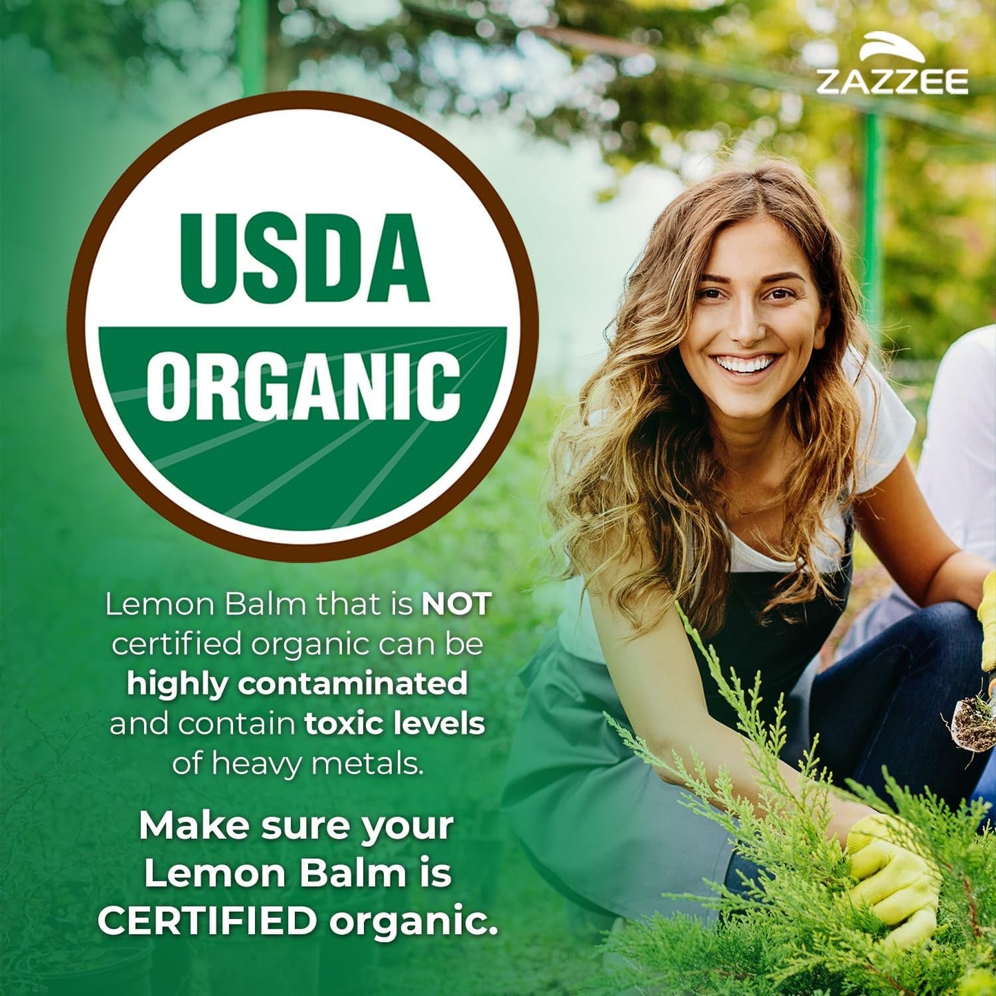 Zazzee USDA Organic Lemon Balm 10:1 Extract, 180 Vegan Capsules - 6 Month Supply - görsel 2