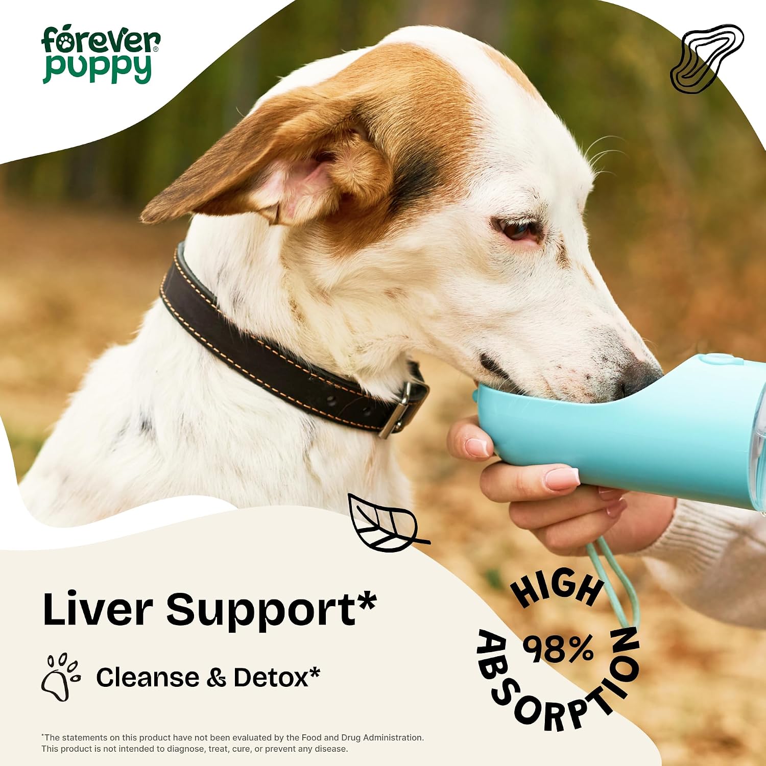 Forever Puppy Liver Support Drops for Dogs – Milk Thistle Supplement – 60 ml - görsel 2