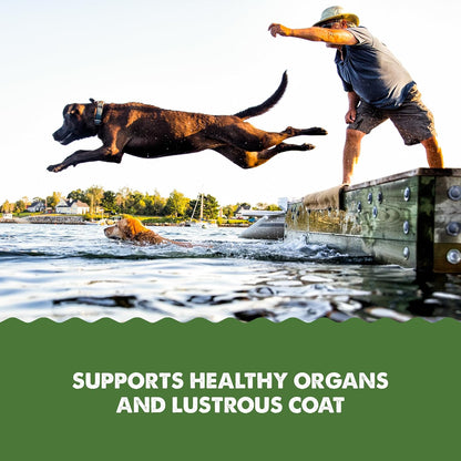 Grizzly Pet ProductsAlgal Plus Omega 3-6-9 Food Supplement for Dogs and Cats, 16 Ounce Bottle
