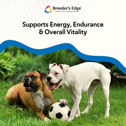 Breeder's Edge Oxy Stud Meat Chews for Male Dogs and Cats – with Essential Vitamins, Minerals, and Natural Herbs for Reproductive Health, 30 chews