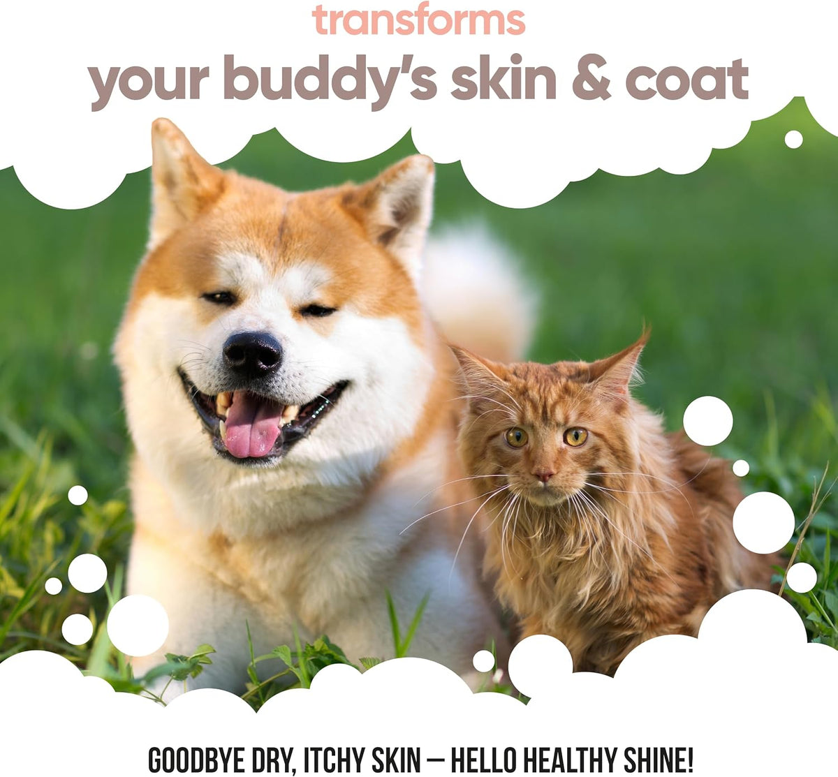 Buddycare Scottish Salmon Oil for Dogs and – Supports Skin and Coat Health: Omega fatty acids help maintain a – Image 5