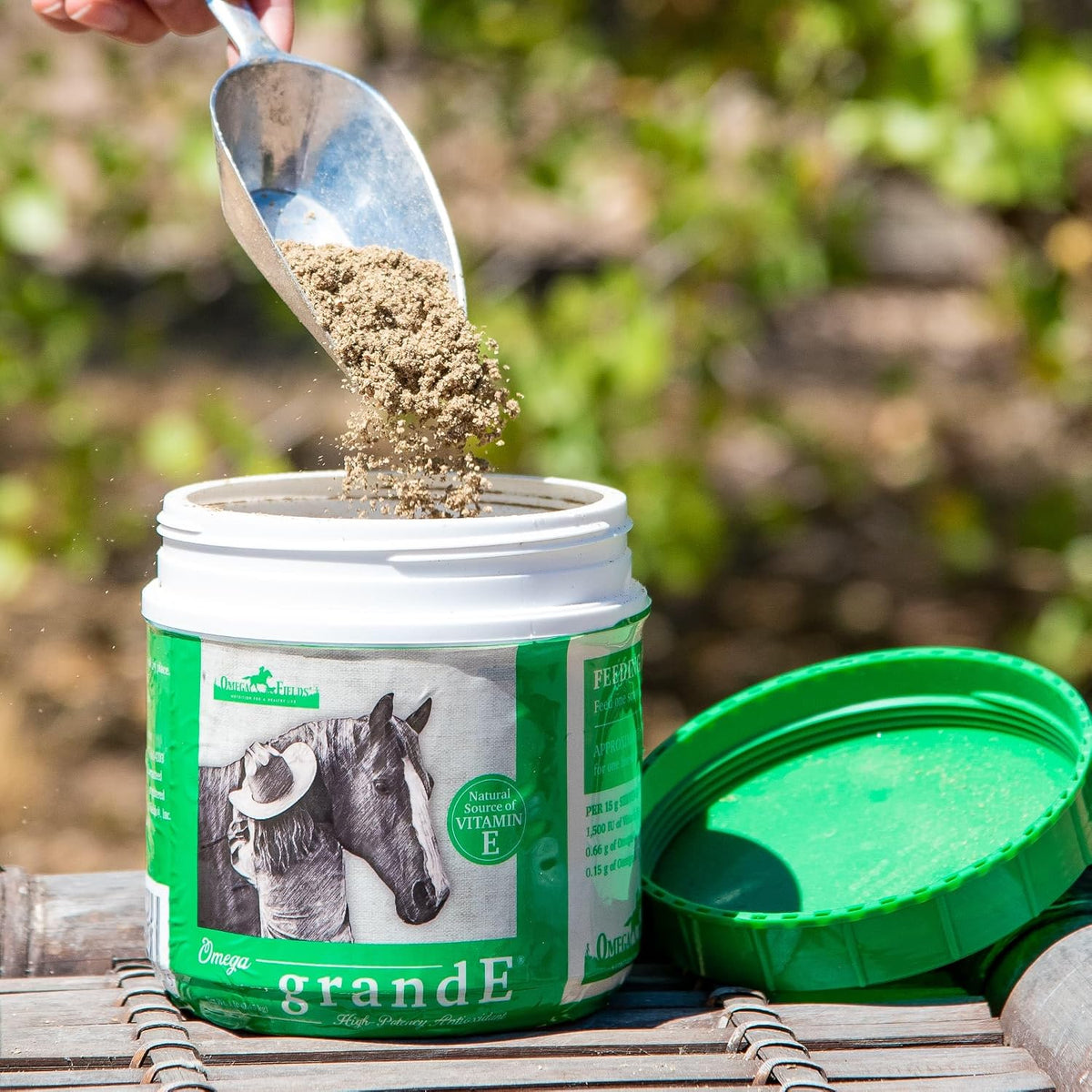 Omega Grande Vitamin E High-Potency Antioxidant - görsel 2
