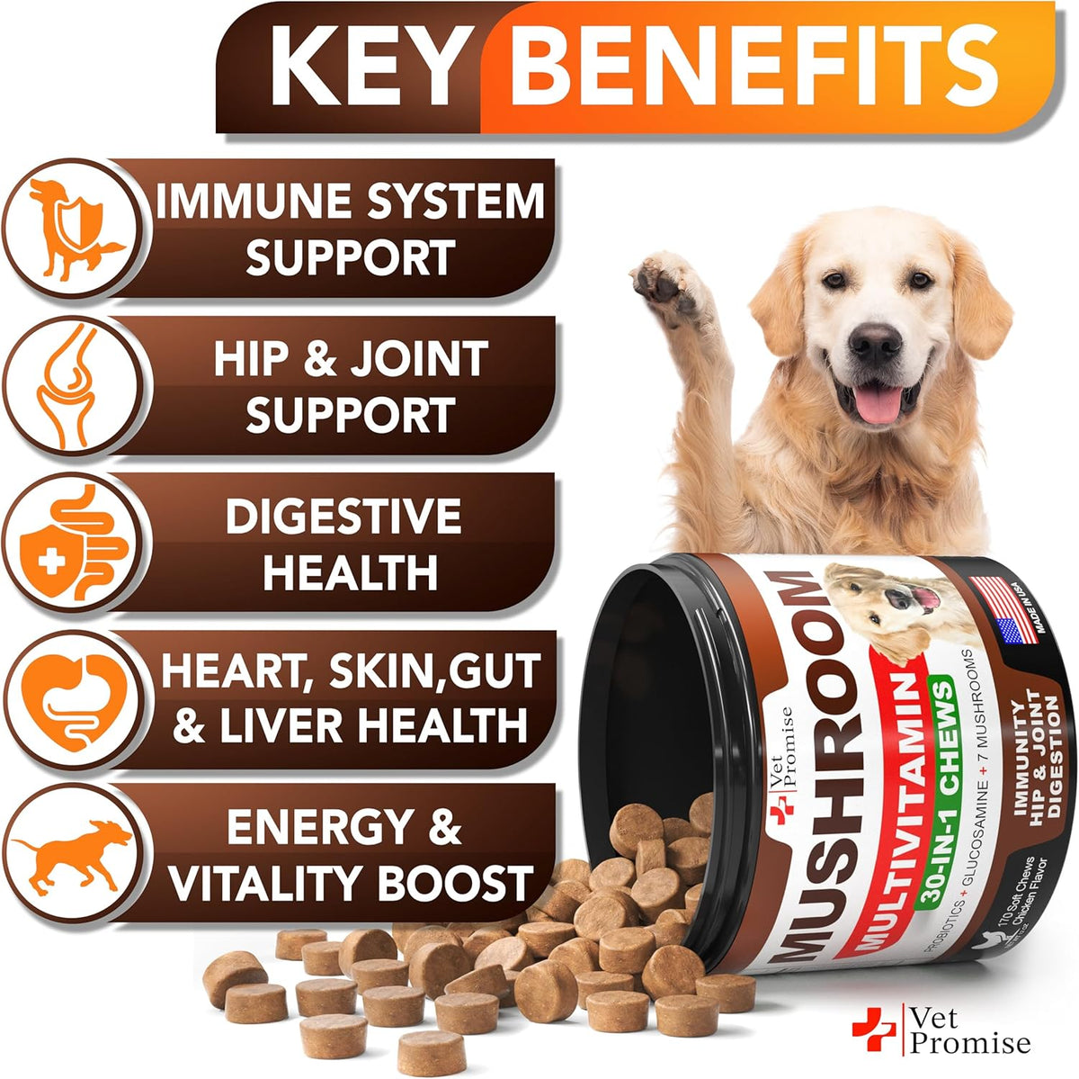 Turkey Tail Mushroom for Dogs - 170 Chews - Mushroom Multivitamin with Lion's Mane, Reishi, Probiotics, and Omega-3 - görsel 3