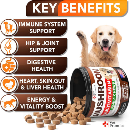 Turkey Tail Mushroom for Dogs - 170 Chews - Mushroom Multivitamin with Lion's Mane, Reishi, Probiotics, and Omega-3