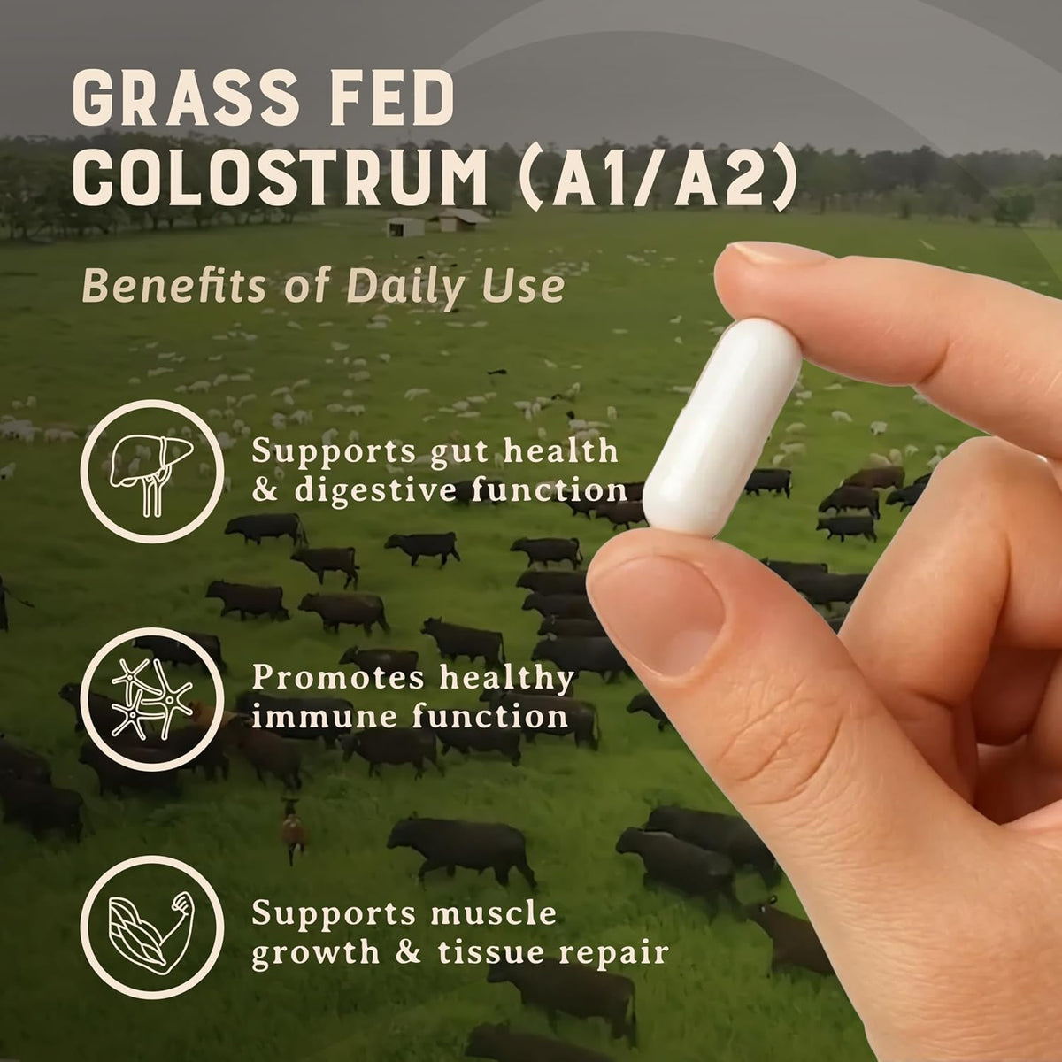 HEART & SOIL 100% Grass Fed & Finished Colostrum Supplement – 3000mg Bovine Colostrum Capsules – 180 Capsules - görsel 3