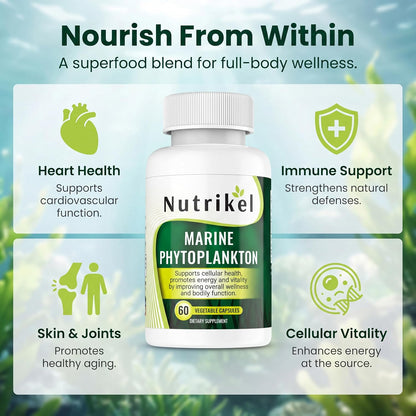 Marine Phytoplankton Omega-3 Supplement – Plant-Based Algae Capsules for Energy, Focus and Cellular Support