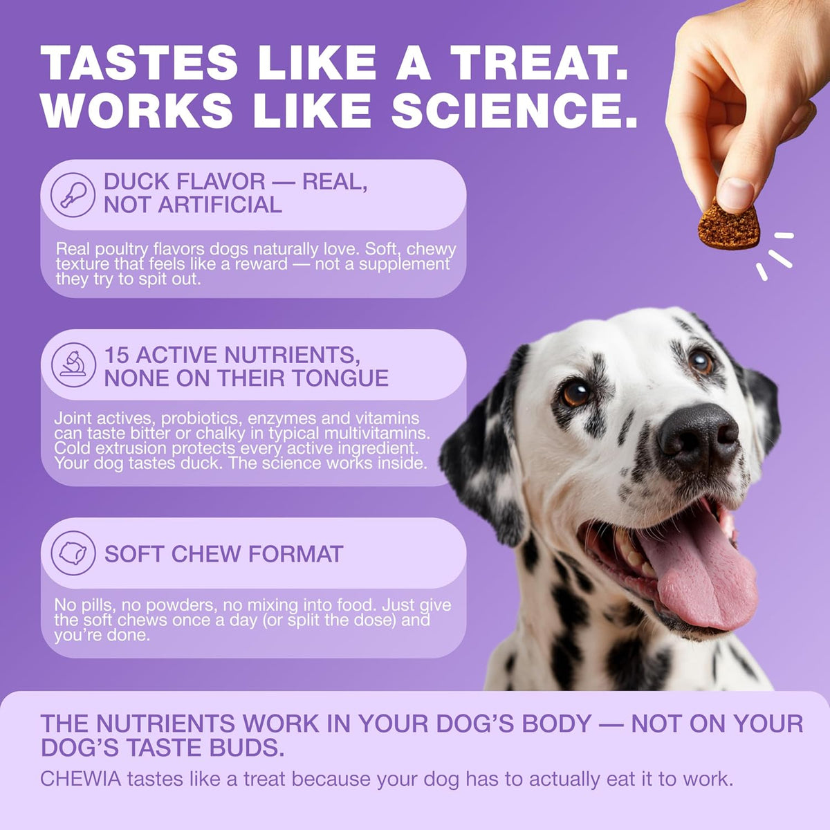 CHEWIA Dog Vitamins 15 in 1 - Multivitamin Chews with MSM for Joint Health, Skin & Coat, Itchy Skin Support, and Immune Support - görsel 8