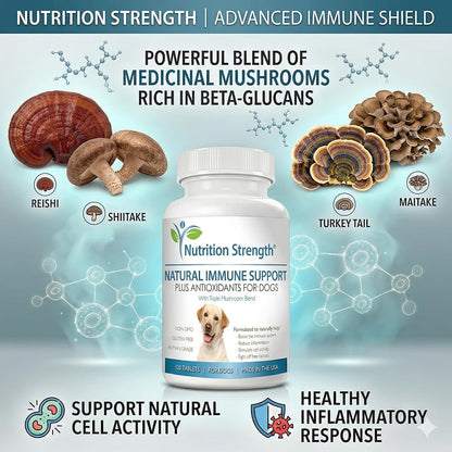 Immune Support for Dogs – Turkey Tail, Reishi, Shiitake & Maitake Mushroom Complex with CoQ10 and Vitamin A – 120 Chewable Tablets