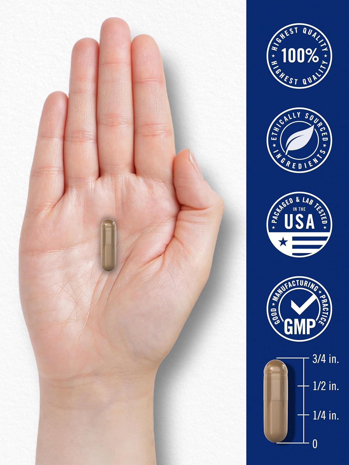 Carlyle Blood Circulation Supplement – 180 Capsules - görsel 7