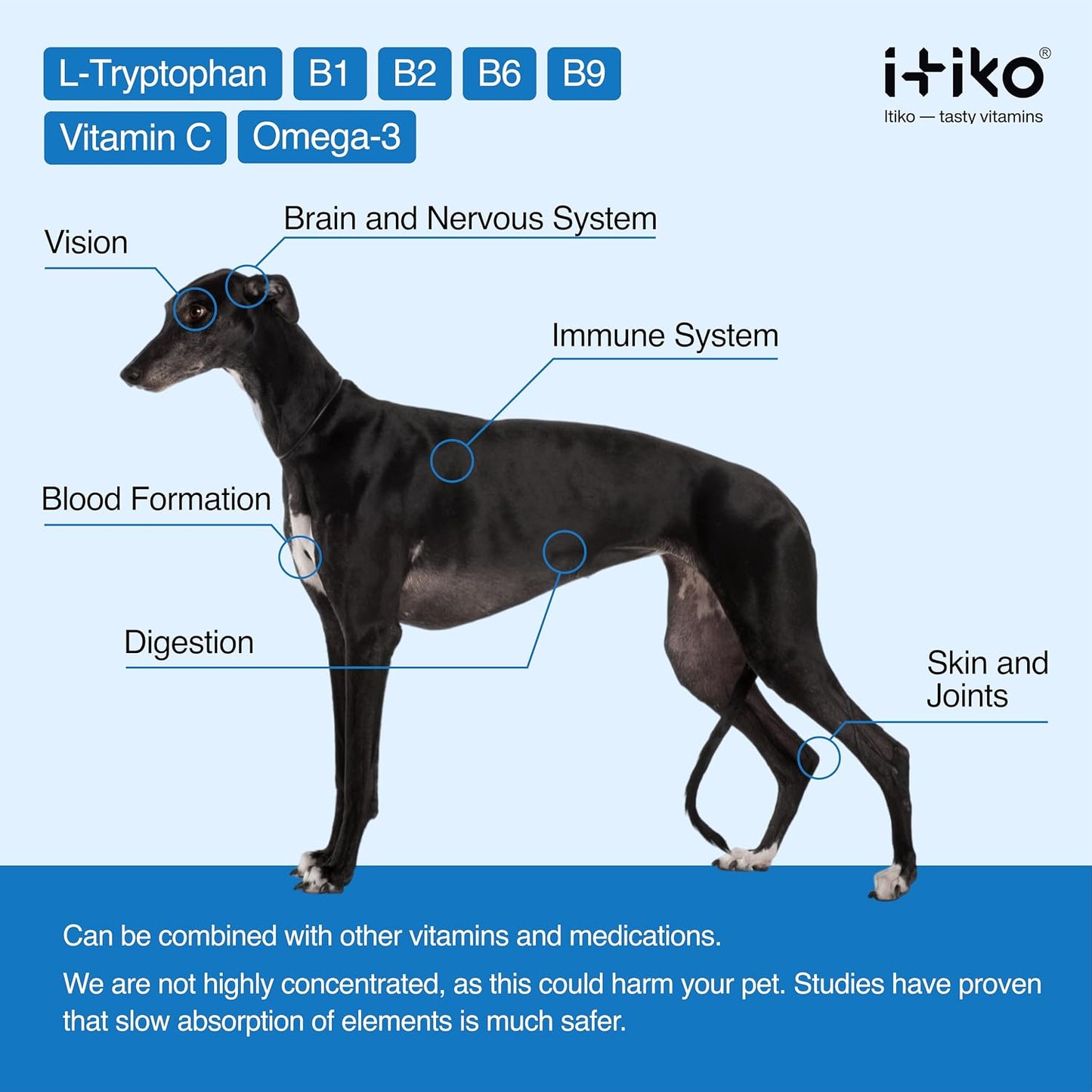 ITIKO Dog Calmers: Tasty Calming Supplement for Dogs with L-Tryptophan, Chamomile & Valerian Root - görsel 2