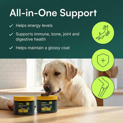 Wuffes 23-in-1 Dog Multivitamin Soft Chews - Skin and Coat, Immune + Gut Health Support with Omega-3, Iron & Zinc for Puppies & Senior Dogs, 60 Count