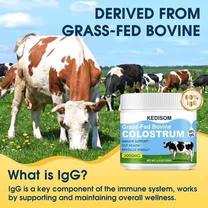 KEDISOM Grass-Fed Bovine Colostrum Powder – Liposomal, High IgG 3000 mg, Gut Health & Immune Support, Unflavoured, 50 Servings